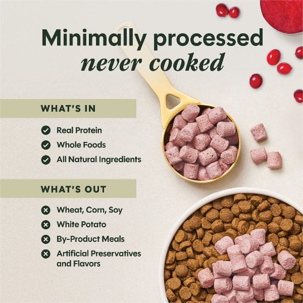 Instinct Raw Boost Mixers Skin & Coat Health Dog Food Topper - Image 6