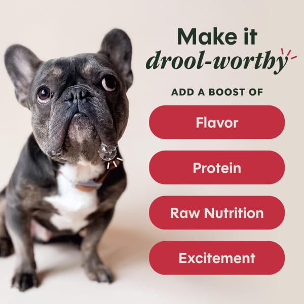 Instinct Raw Boost Shakers Beef Recipe Dog Food Topper - Image 3