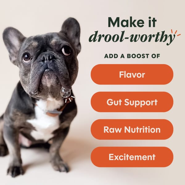 Instinct Raw Boost Shakers Gut Health Recipe Dog Food Topper - Image 4