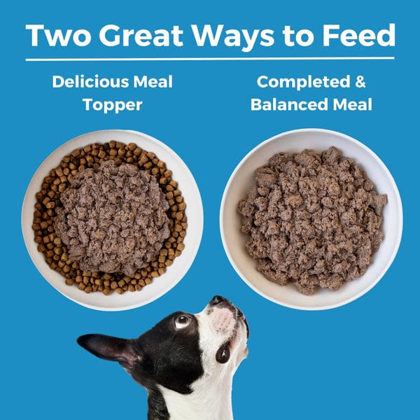 KOHA LID Lamb Entrée Canned Dog Food - Image 5
