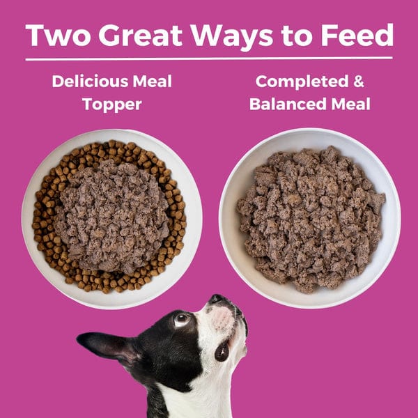 KOHA LID Pork Entrée Canned Dog Food - Image 5