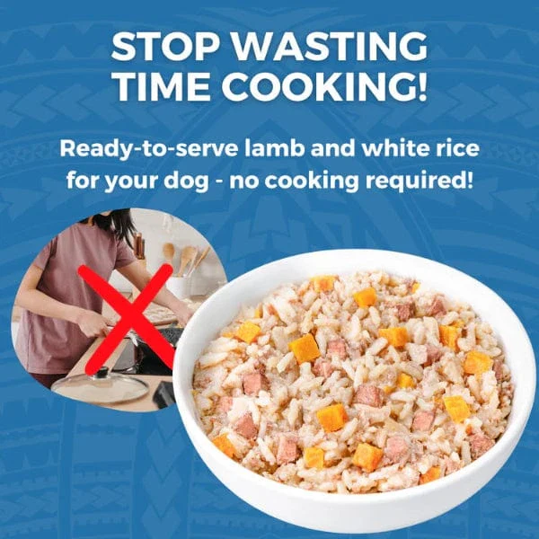 KOHA Limited Ingredient Bland Diet Lamb & White Rice Recipe for Dogs - Image 3