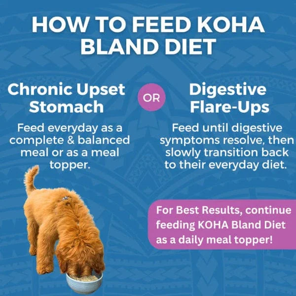 KOHA Limited Ingredient Bland Diet Lamb & White Rice Recipe for Dogs - Image 4