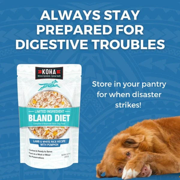 KOHA Limited Ingredient Bland Diet Lamb & White Rice Recipe for Dogs - Image 5