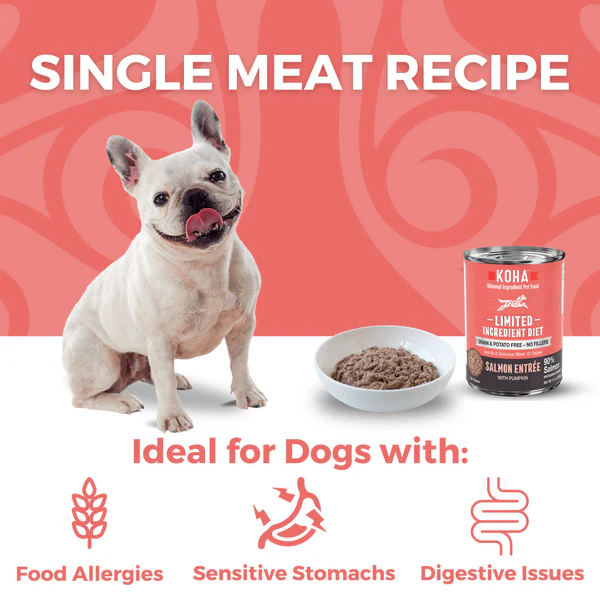 KOHA LID Salmon Entrée Canned Dog Food - Image 2