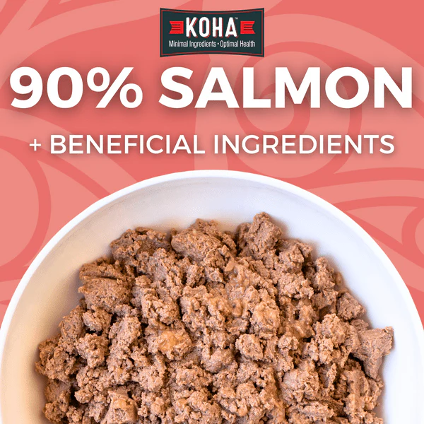 KOHA LID Salmon Entrée Canned Dog Food - Image 3