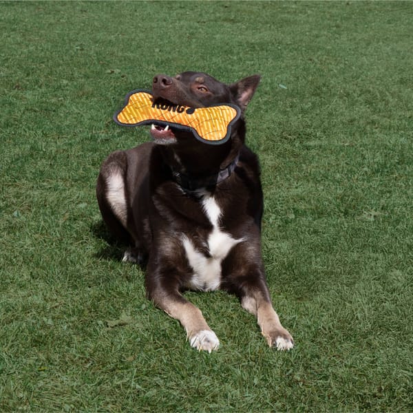 KONG Armor Bone Dog Toy - Image 2