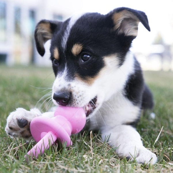 KONG Binkie Puppy Toy - Image 3