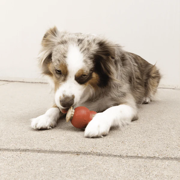 KONG Corkz Dog Treats - Image 8