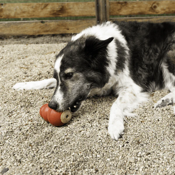 KONG Corkz Dog Treats - Image 9