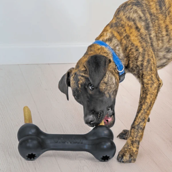 KONG Extreme Goodie Bone Dog Toy - Image 10