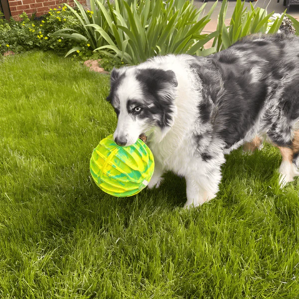 KONG Flexball Sport Ball X-Large Dog Toy - Image 7