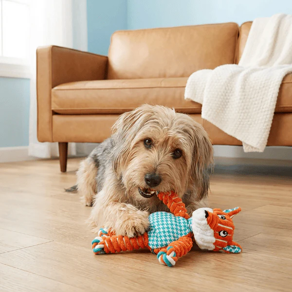 KONG Floppy Knots Fox Dog Toy - Image 6