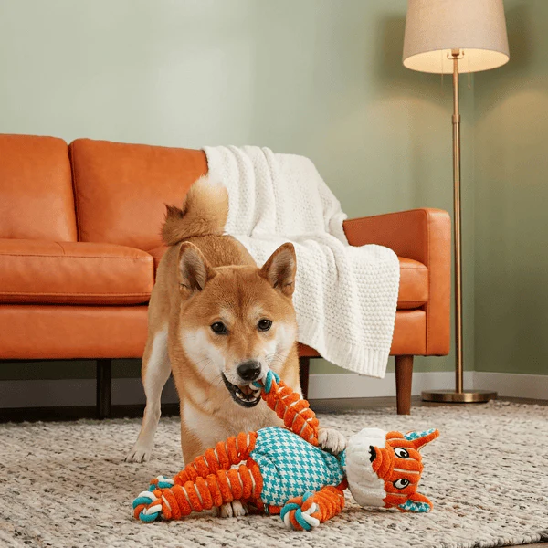 KONG Floppy Knots Fox Dog Toy - Image 7