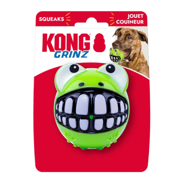 KONG Grinz Frog Dog Toy