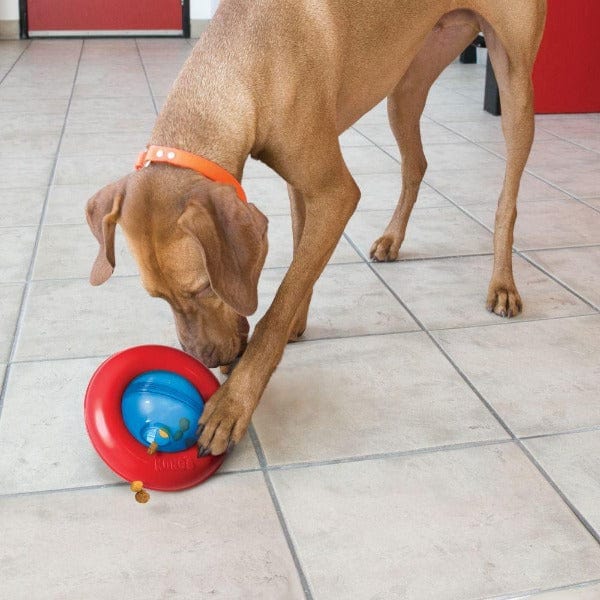 KONG Gyro Treat Dispensing Dog Toy - Image 3