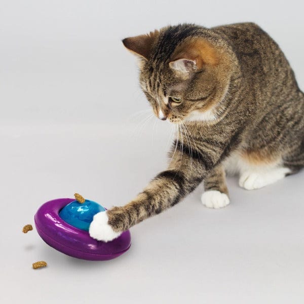 KONG Infused Gyro Treat Dispensing Cat Toy - Image 2
