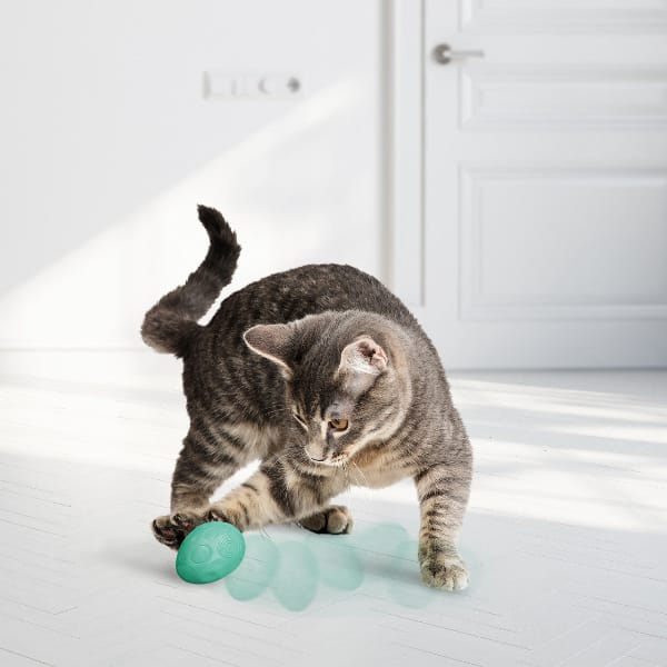 KONG Infused Catnip Eggs Cat Toy - Image 2