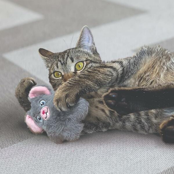 KONG Snuzzles Mouse Cat Toy - Image 2