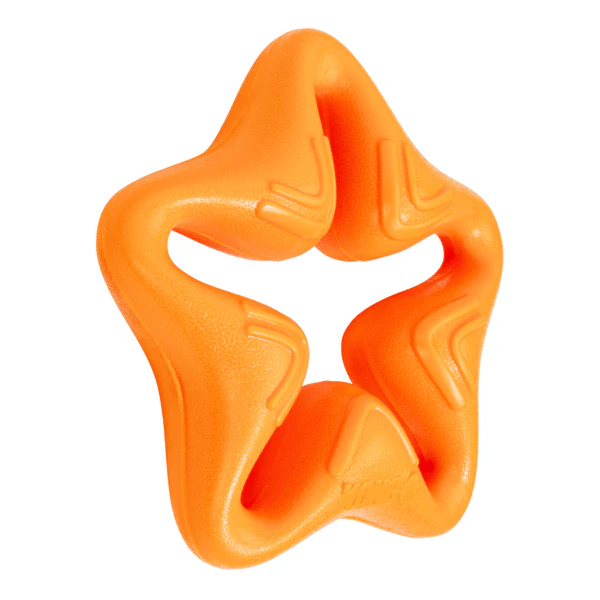KONG Squeakz Star Dog Toy - Image 4