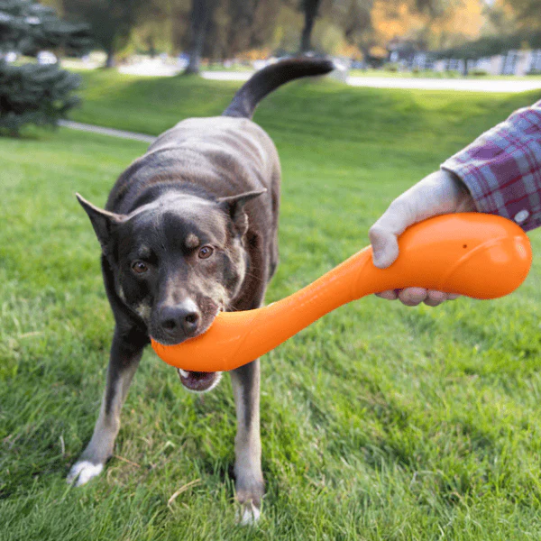 KONG Squeakz Stick Dog Toy - Image 8