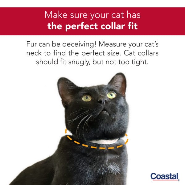 Li'l Pals Adjustable Breakaway Kitten Collar - Image 6