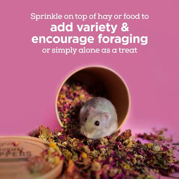 Living World Green Gourmet Toppers - Botanicals - Image 2