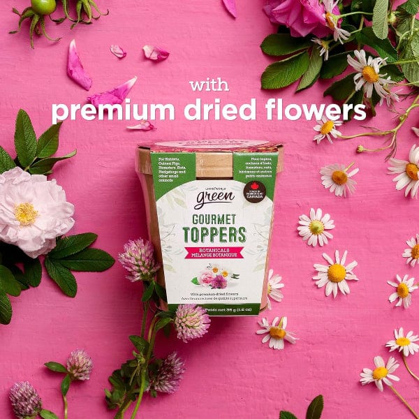 Living World Green Gourmet Toppers - Botanicals - Image 3