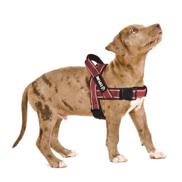M-PETS Explore Harness - Image 2