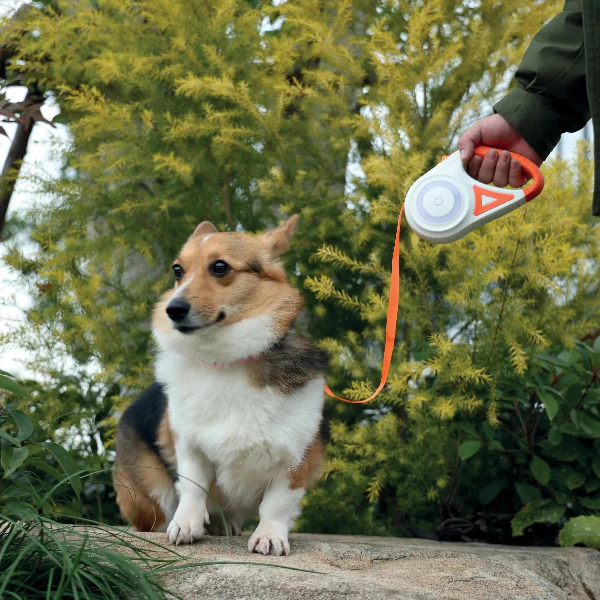 M-PETS FLASH Retractable Dog Leash - Image 8
