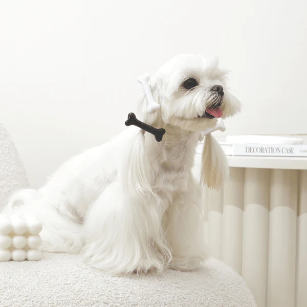 M-PETS GLAM Hair Accessories for Pets | Bone Shape Clip - Image 4