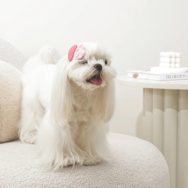 M-PETS GLAM Hair Accessories for Pets Clip - Image 14