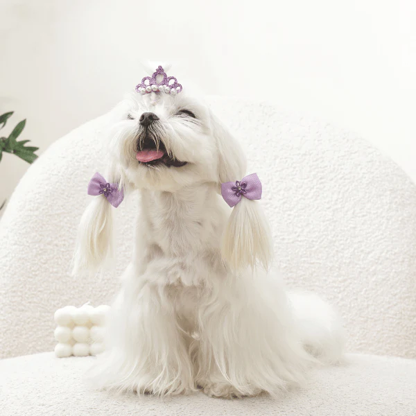 M-PETS GLAM Hair Accessories for Pets Clip & Rubber - Image 7