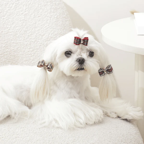 M-PETS GLAM Hair Accessories for Pets Rubber Band | Red & Blue - Image 6