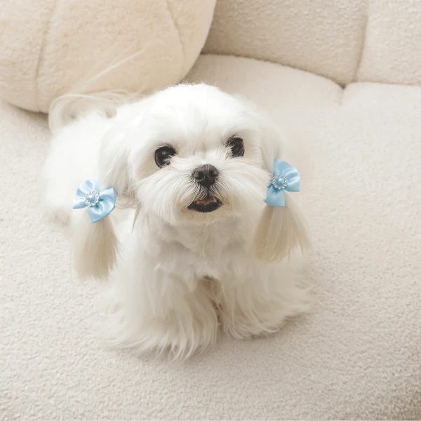M-PETS GLAM Hair Accessories for Pets Rubber Band with Pearl - Image 10