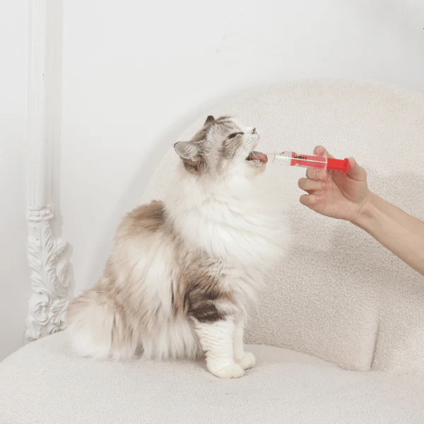 M-PETS Pro Care Medicine Feeder Set - Image 5