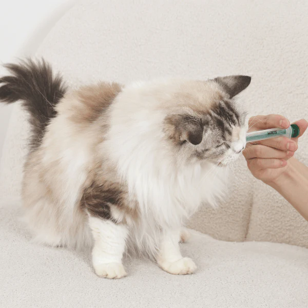 M-PETS Pro Care Medicine Feeder Set - Image 6