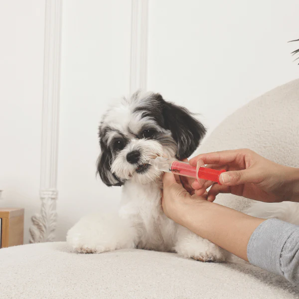 M-PETS Pro Care Medicine Feeder Set - Image 7
