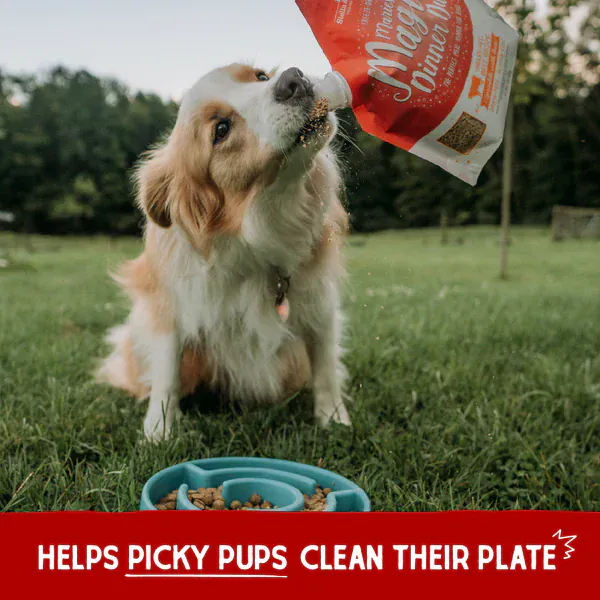 Stella & Chewy's Marie’s Magical Dinner Dust Beef Recipe Meal Toppers for Dogs - Image 11