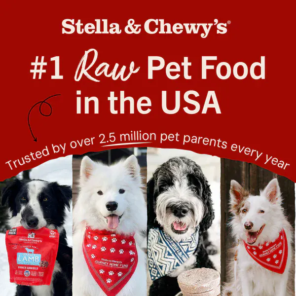 Stella & Chewy's Marie’s Magical Dinner Dust Beef Recipe Meal Toppers for Dogs - Image 7