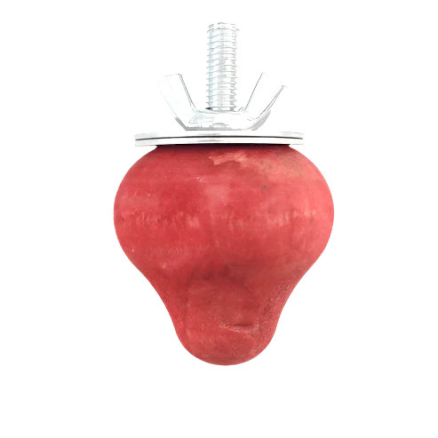 Moss Hollow Wooden Strawberry Gnaw