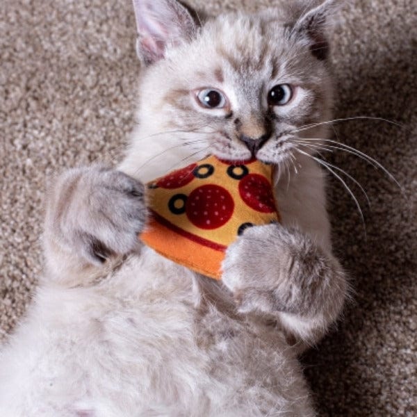 Multipet Pizza Cat Toy - Image 2