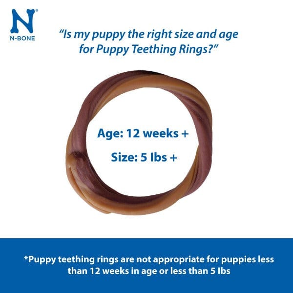 N-Bone Grain Free Puppy Teething Rings; Chicken Flavour - Image 2