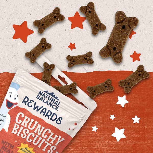 Natural Balance Crunchy Biscuits With Real Salmon Recipe Dog Treats, 14oz - Image 3