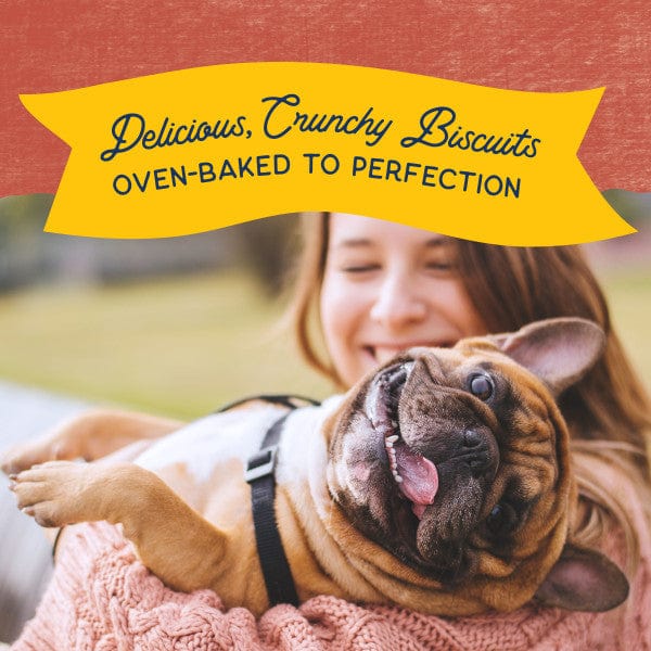 Natural Balance Crunchy Biscuits With Real Salmon Recipe Dog Treats, 14oz - Image 5