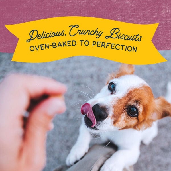 Natural Balance Crunchy Biscuits With Real Venison Small Breed Recipe, 8oz - Image 4