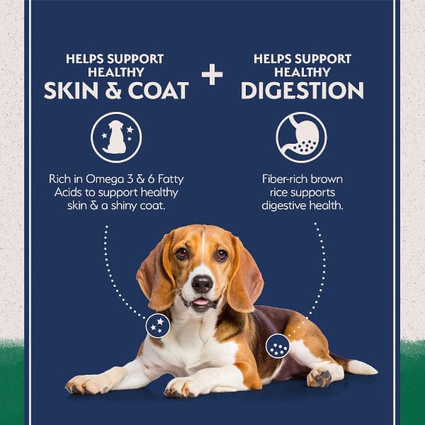 Natural Balance Limited Ingredient Lamb & Brown Rice Recipe Dry Dog Food - Image 3