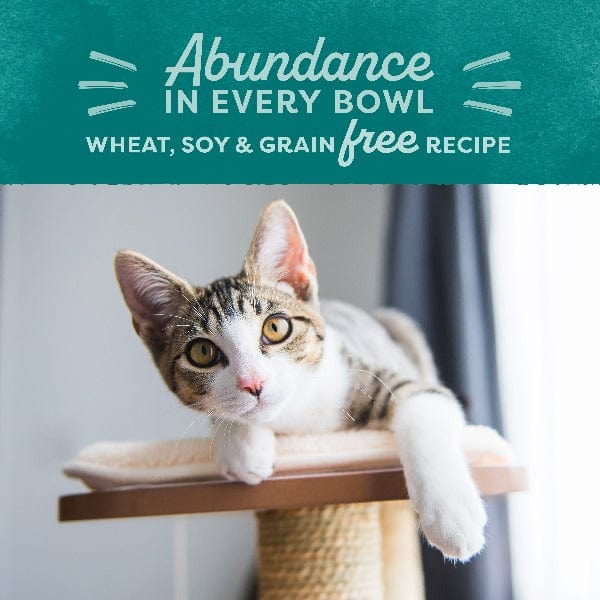 Natural Balance Original Ultra Indoor Chicken & Salmon Meal Recipe Dry Cat Food, 15lb - Image 3
