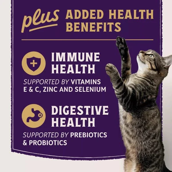 Natural Balance Original Ultra Protein+ Immune and Digestive Health Real Chicken & Chicken Meal Recipe Dry Cat Food, 5lb - Image 2