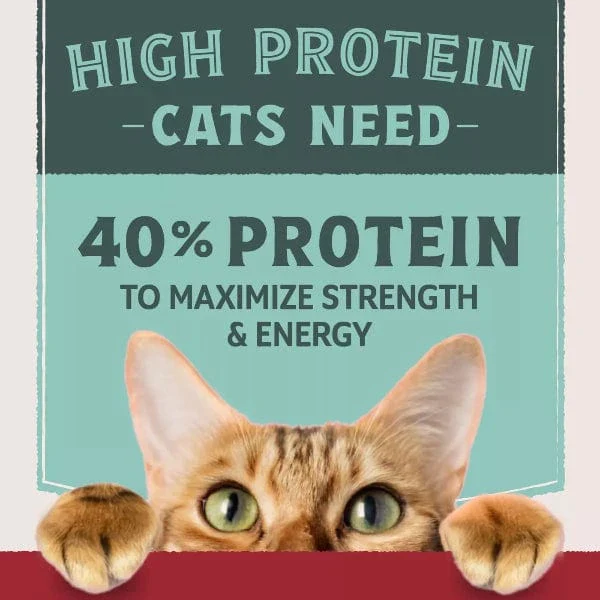 Natural Balance Original Ultra Protein Real Chicken & Chicken Meal Recipe Dry Cat Food - Image 2